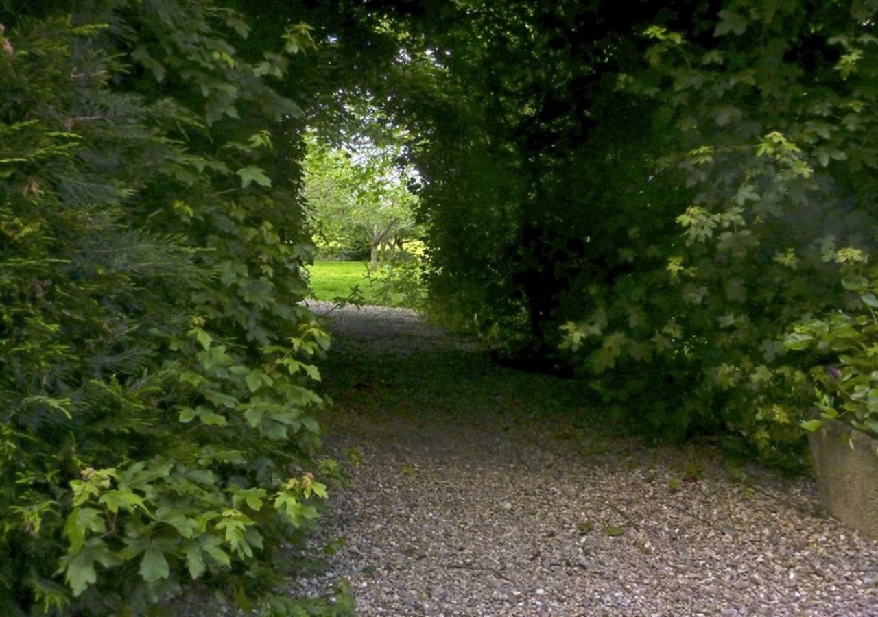 Logis De Chezelles Bed & Breakfast Sidiailles Exterior foto